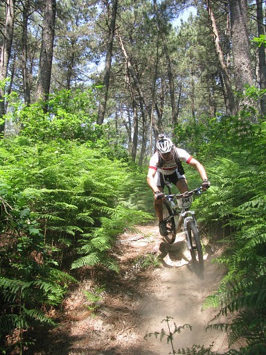  marcha de Mos 2010