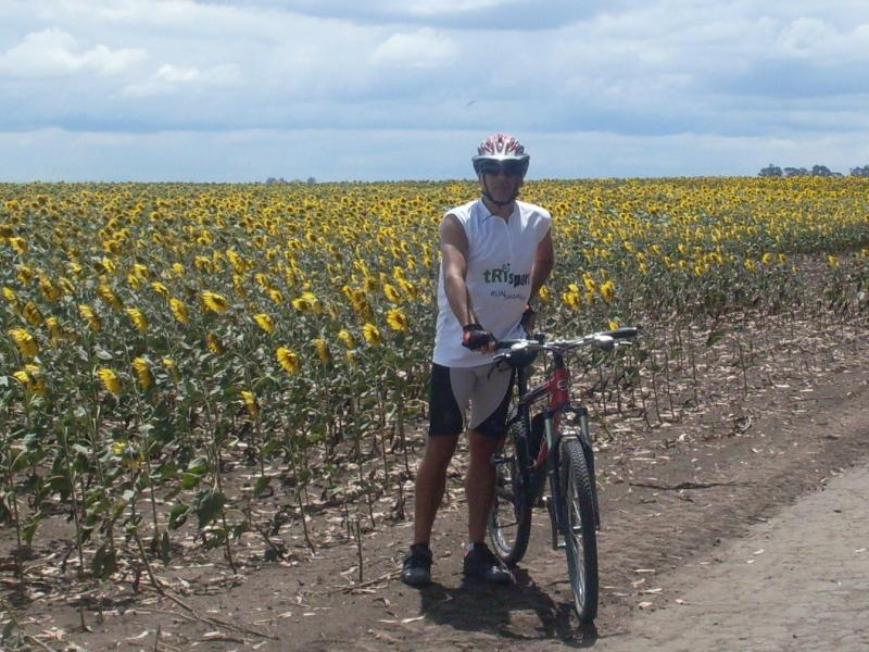  por campos de girasol!!!