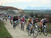 BikeZona Cannondale en Izkue