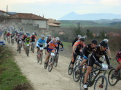 BikeZona Cannondale en Izkue