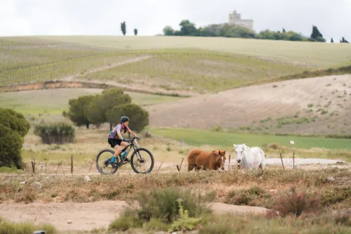 Imagen noticia ciclismo